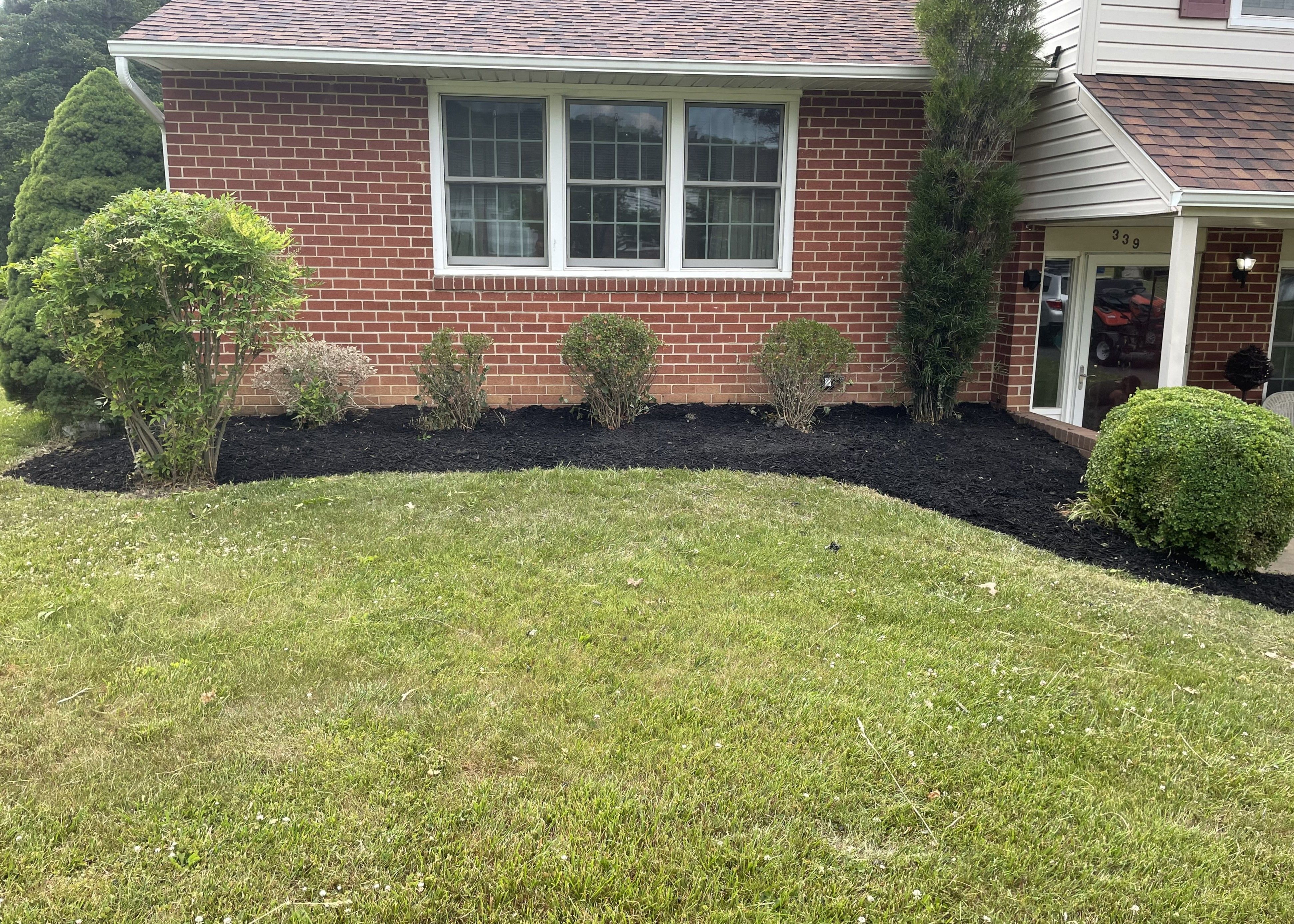 Mulch in front garden of house