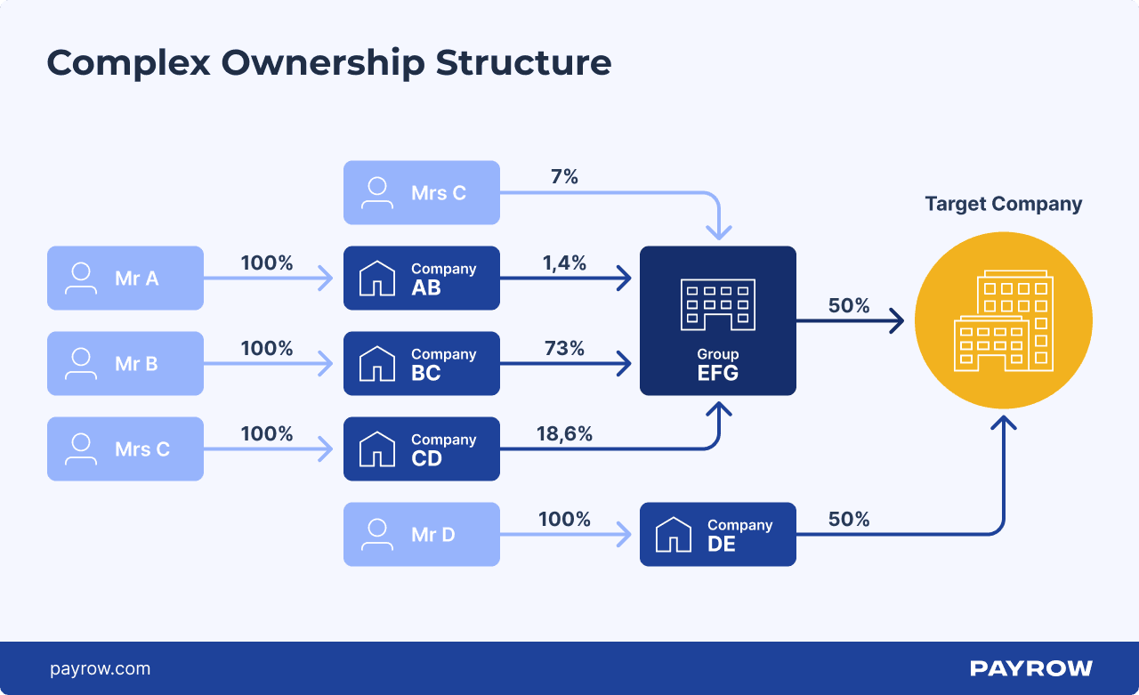 example of ownership structure in a business plan