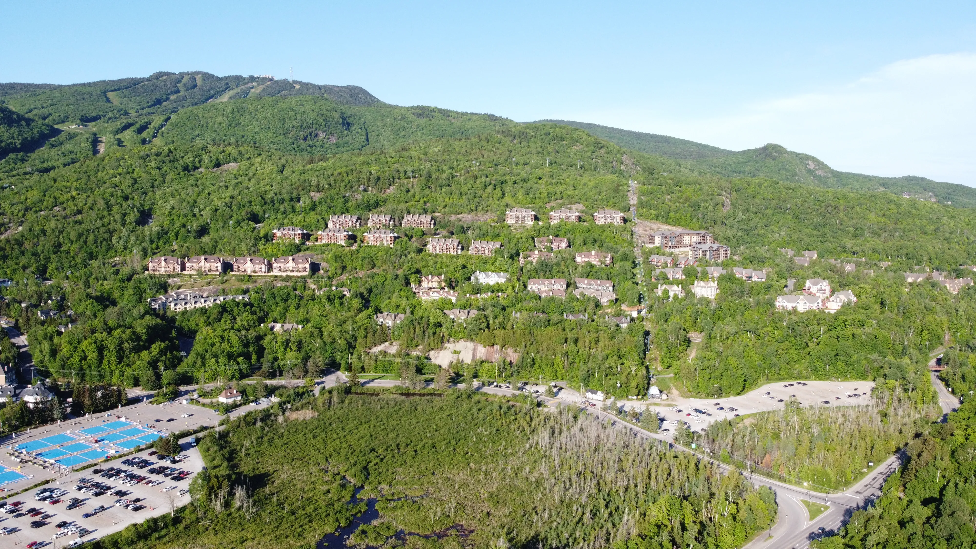 Domaine de la Forêt