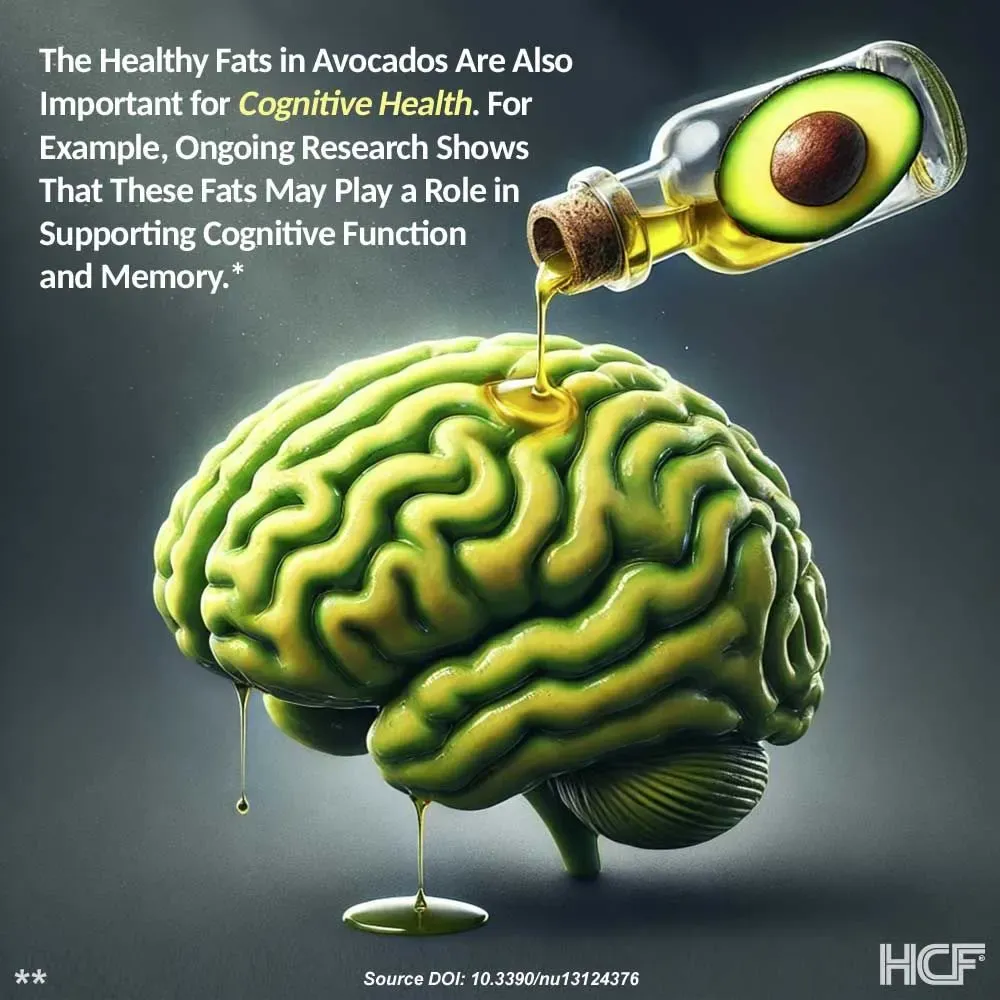 Avocado-Oil-Brain-Img1.webp