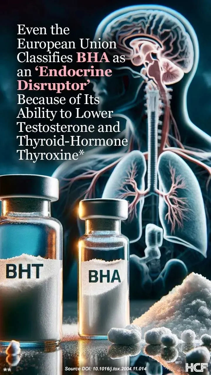 BHT-BHA-Endocrine-Img1-720x1280.webp