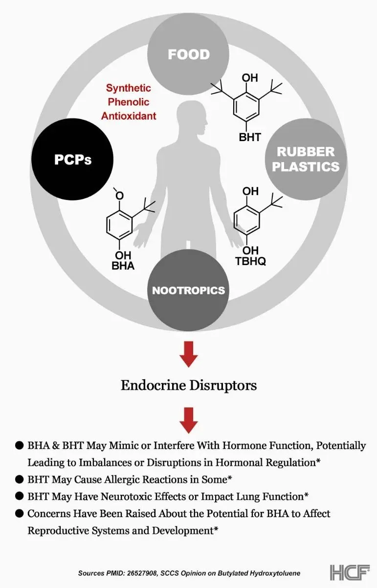 BHT-BHA-Endocrine-Img2.webp