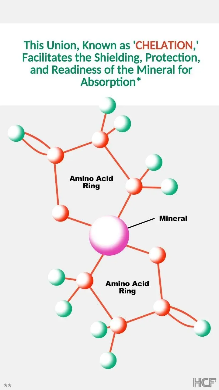 Chelation-Enzymatic-Img1-720x1280.webp