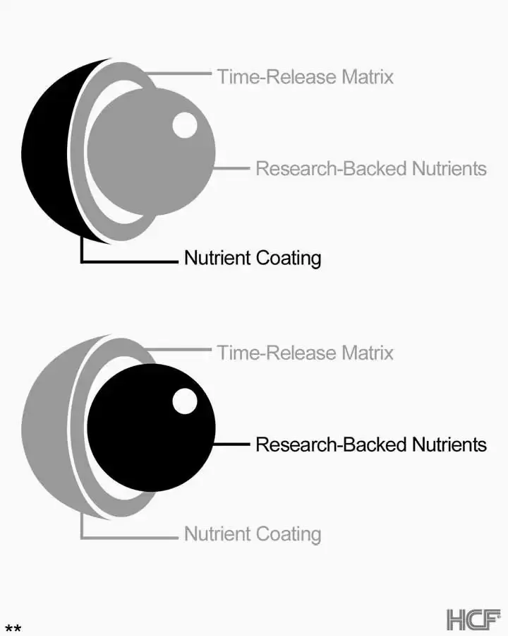 Core-Principles-Img1-720x900.webp