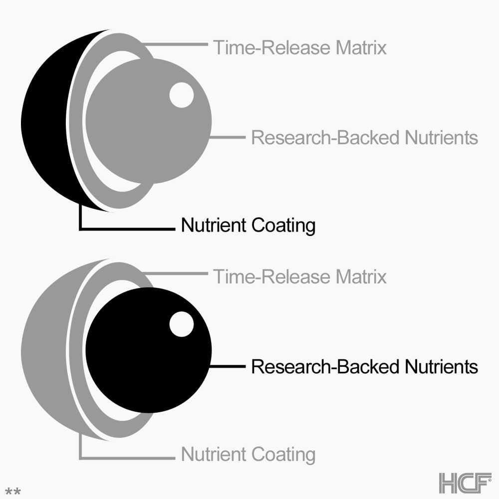 Core-Principles-Img1.jpg
