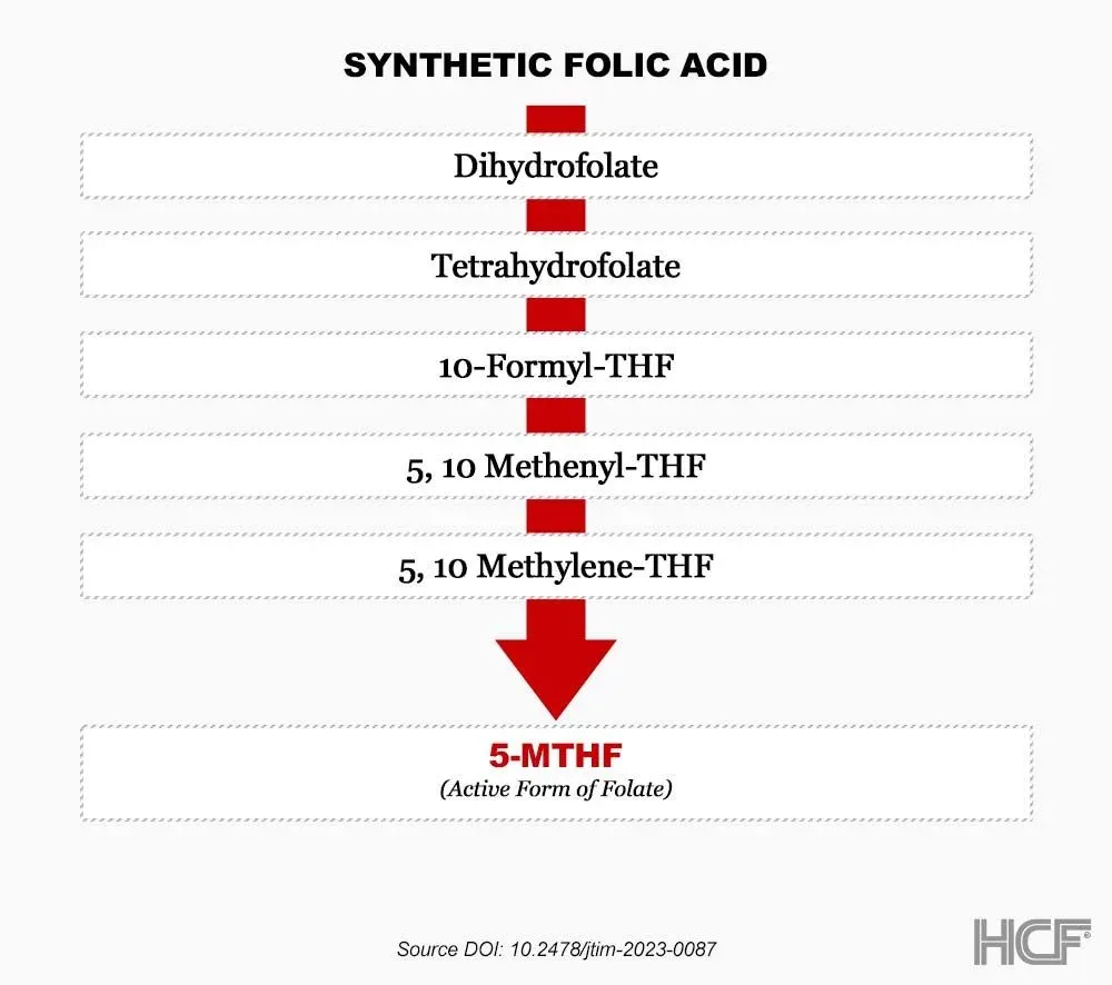 Folate-Vitamin-B9-Img1.webp