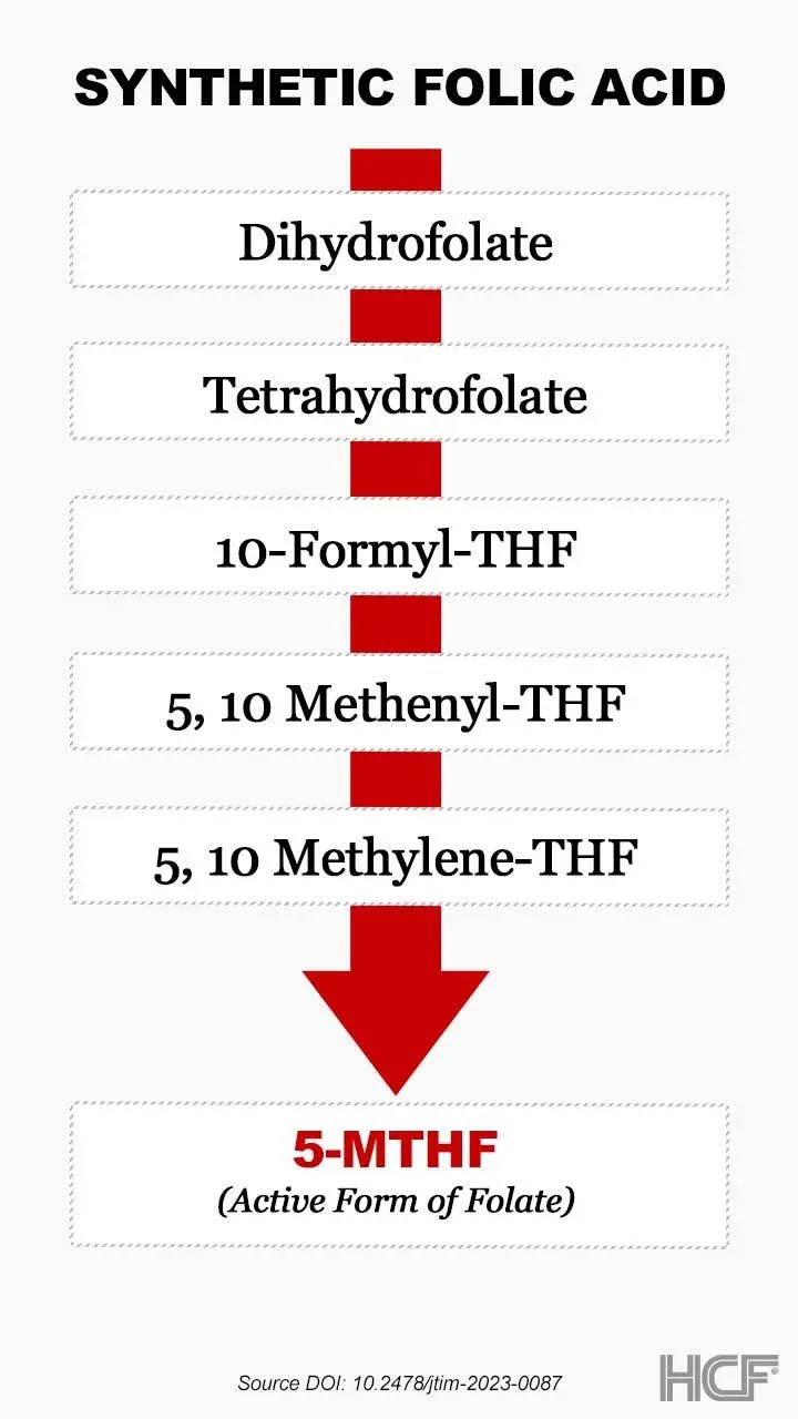 Folate-Vitamin-B9-Img1-720x1280.webp