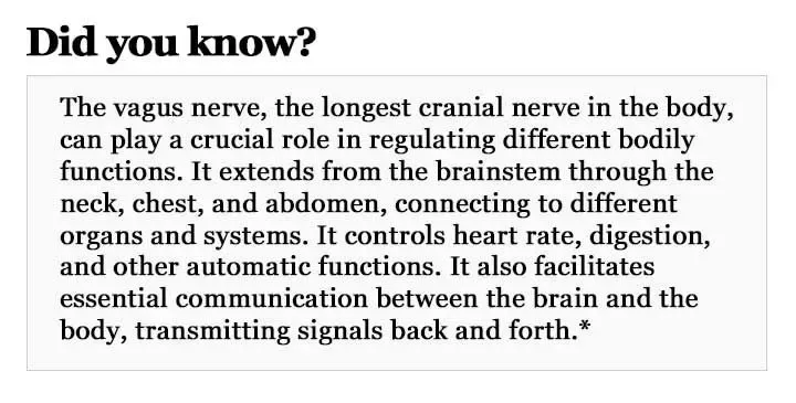 Heart-Second-Brain-Img1-720x365.webp