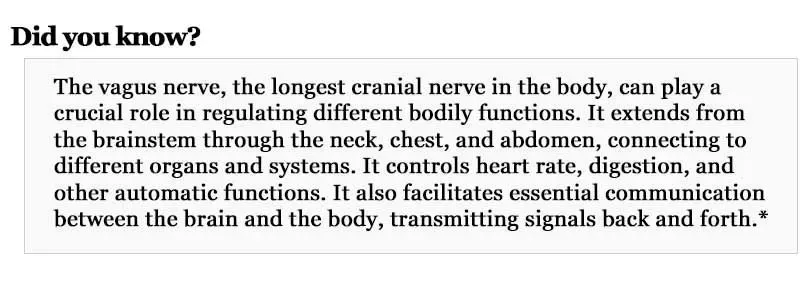 Heart-Second-Brain-Img1.webp