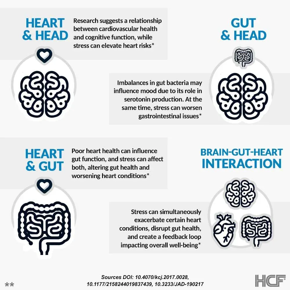 Heart-Second-Brain-Img2.webp
