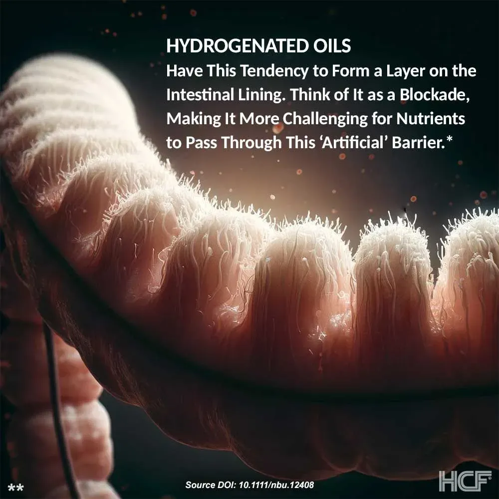 Hydrogenated-Oils-Absorption-Img2.webp