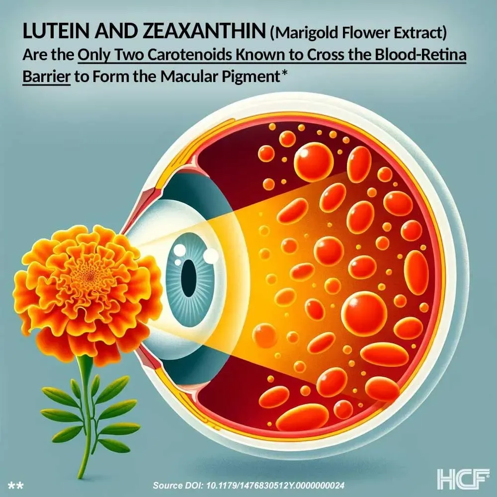 Lutein-Zeaxanthin-Img2.webp