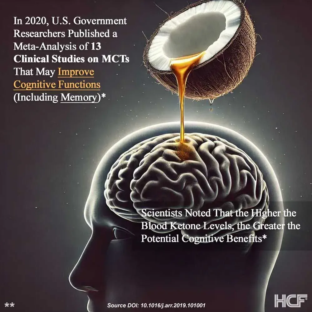 MCT-Brain-Img1.webp