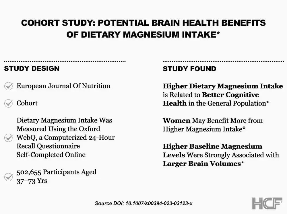Magnesium-Brain-Img1.webp