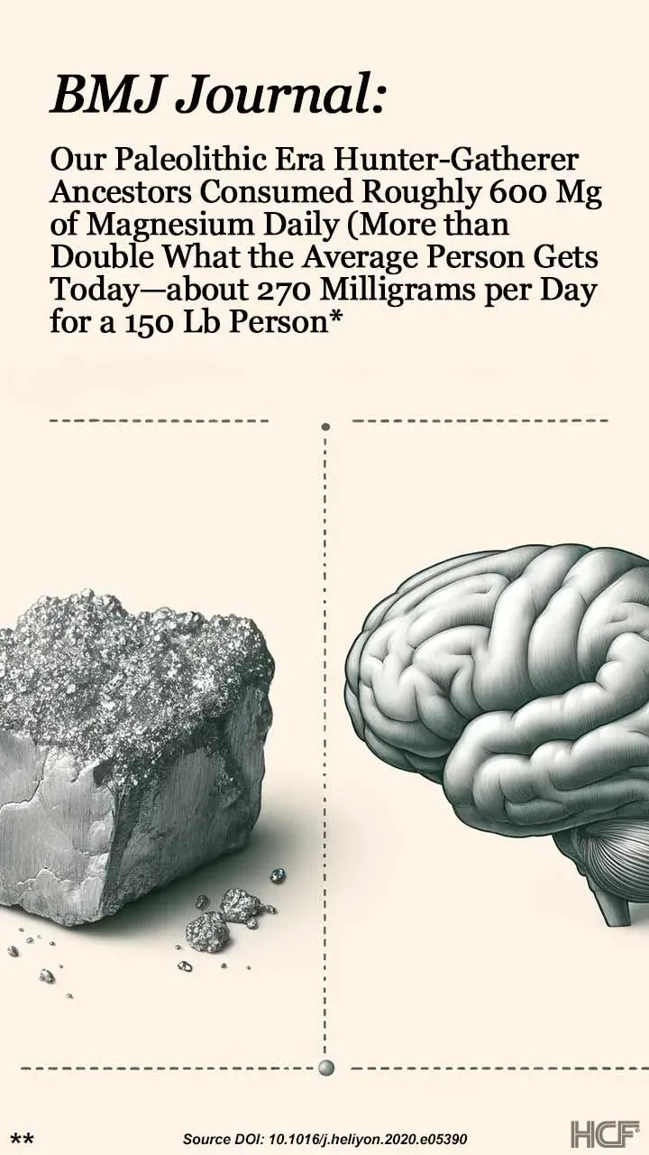 Magnesium-Brain-Img2-720x1280.webp