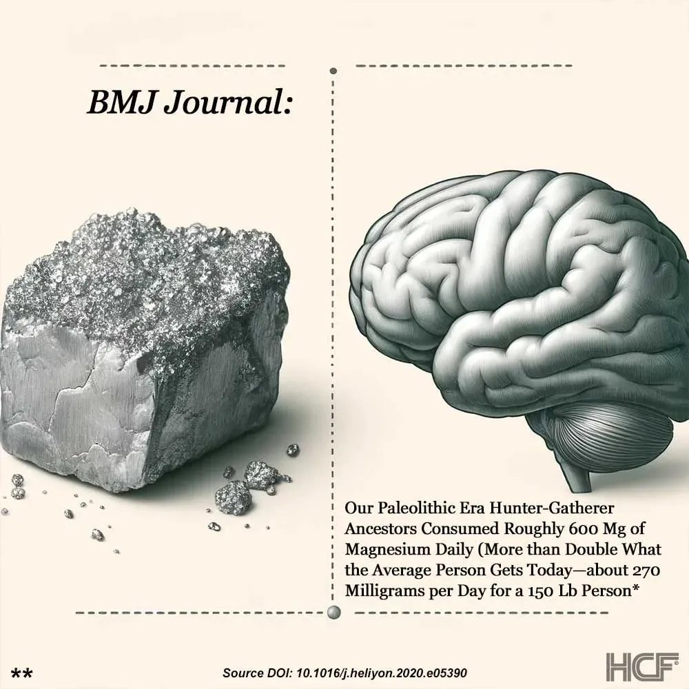 Magnesium-Brain-Img2.webp