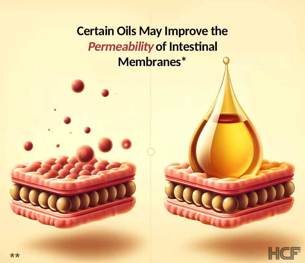 Oil-Based-Absorption-Img2.jpg