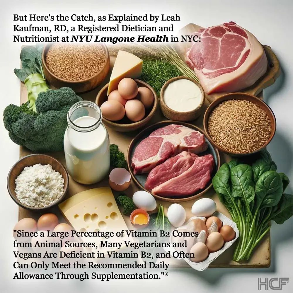 Riboflavin-Vitamin-B2-Brain-Img1.webp