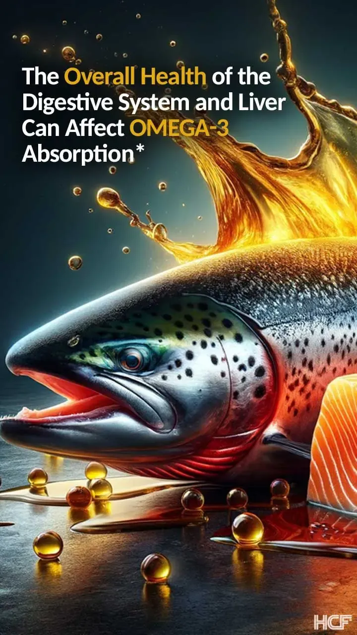 Salmon-Absorption-Img2-720x1280.webp