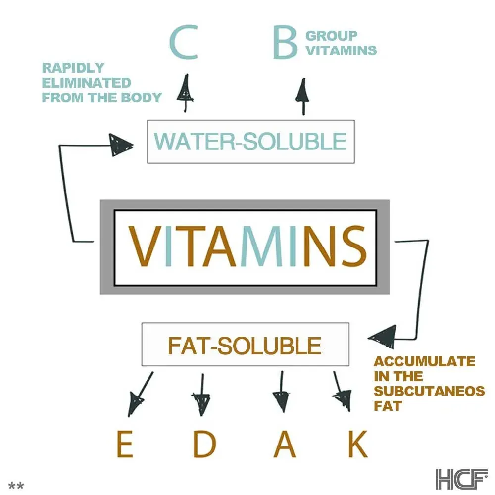 Soluble-Brain-Fat-Water-Img1.webp
