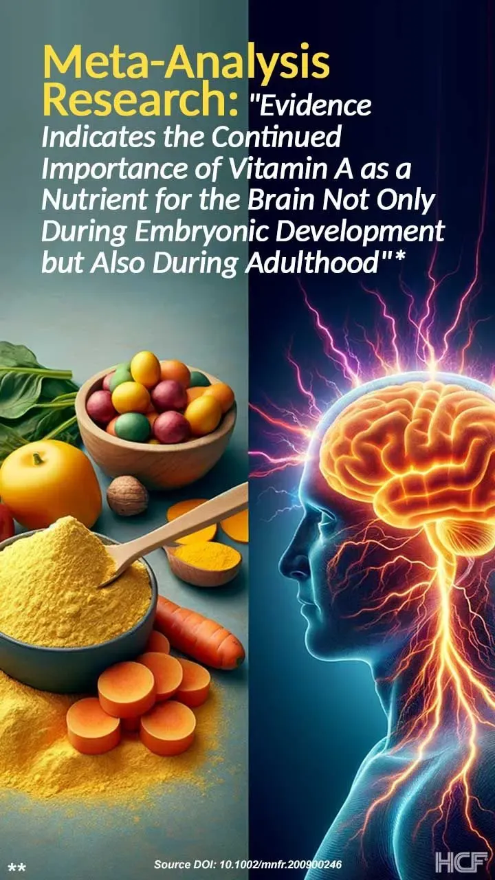Vitamin-A-Brain-Img2-720x1280.webp