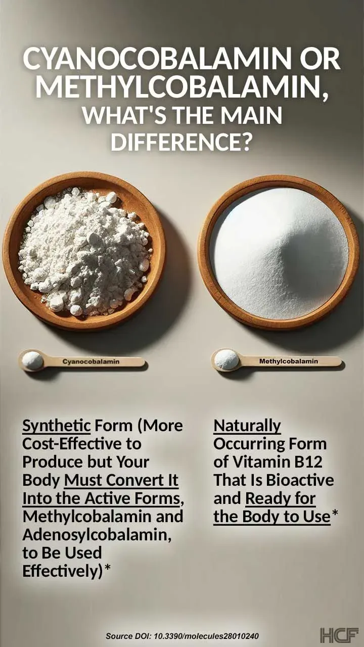 Vitamin-B12-Brain-Img1-720x1280.webp