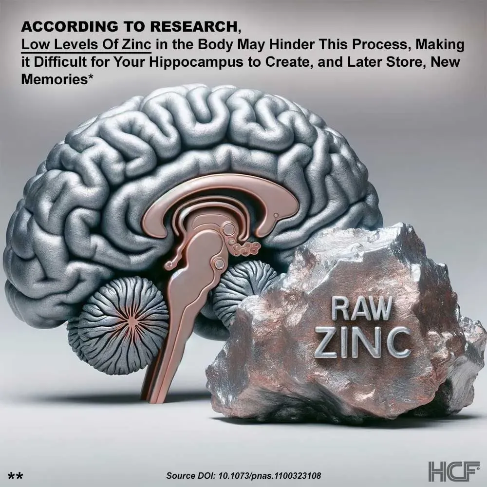 Zinc-Brain-Img1.webp