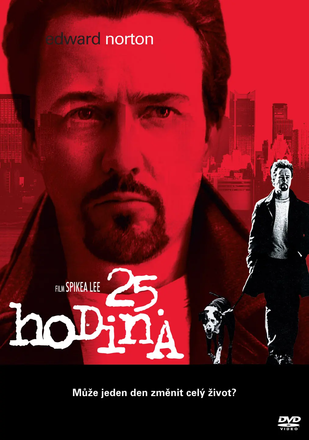 25. hodina 2002