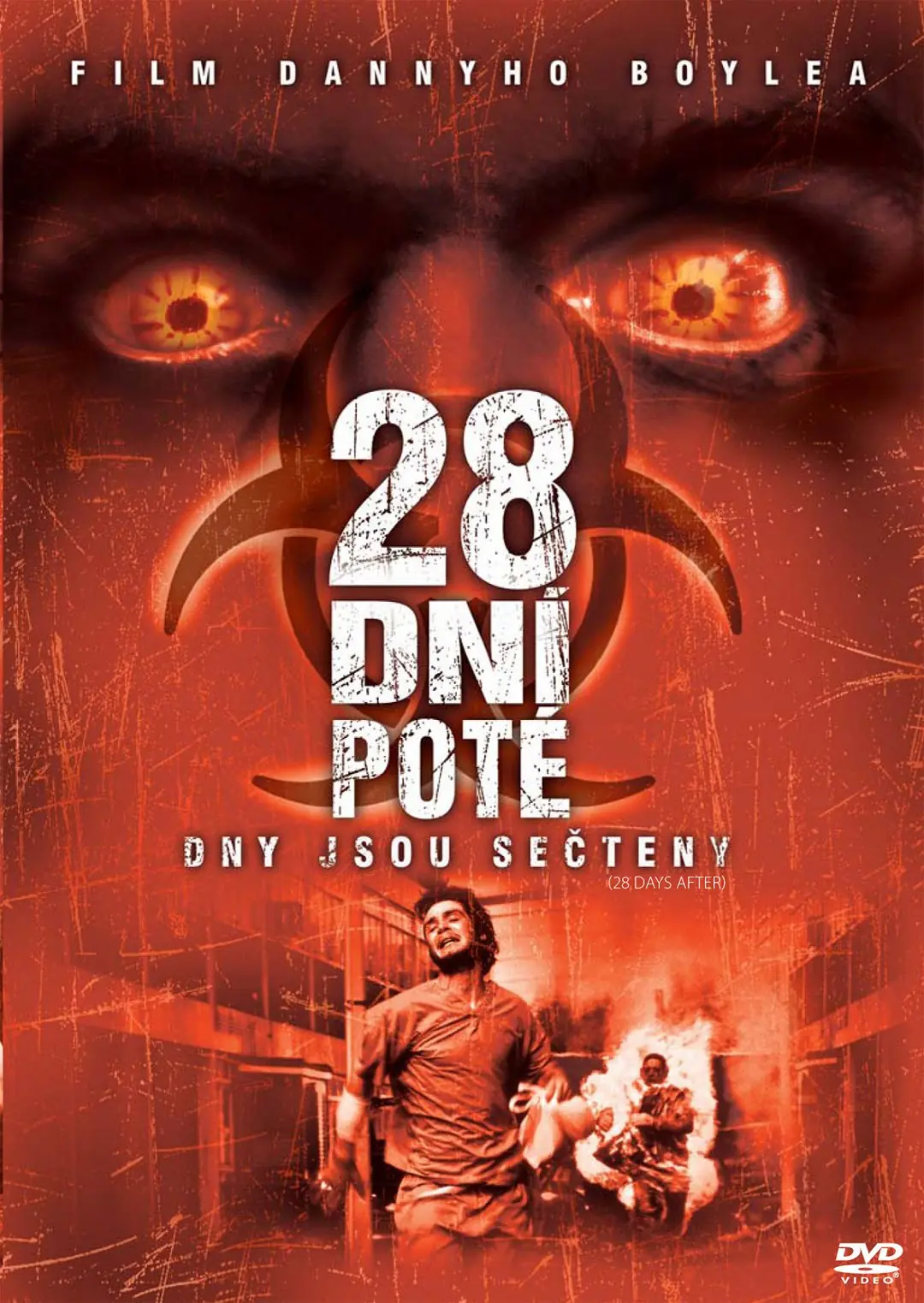 28 dní poté 2002