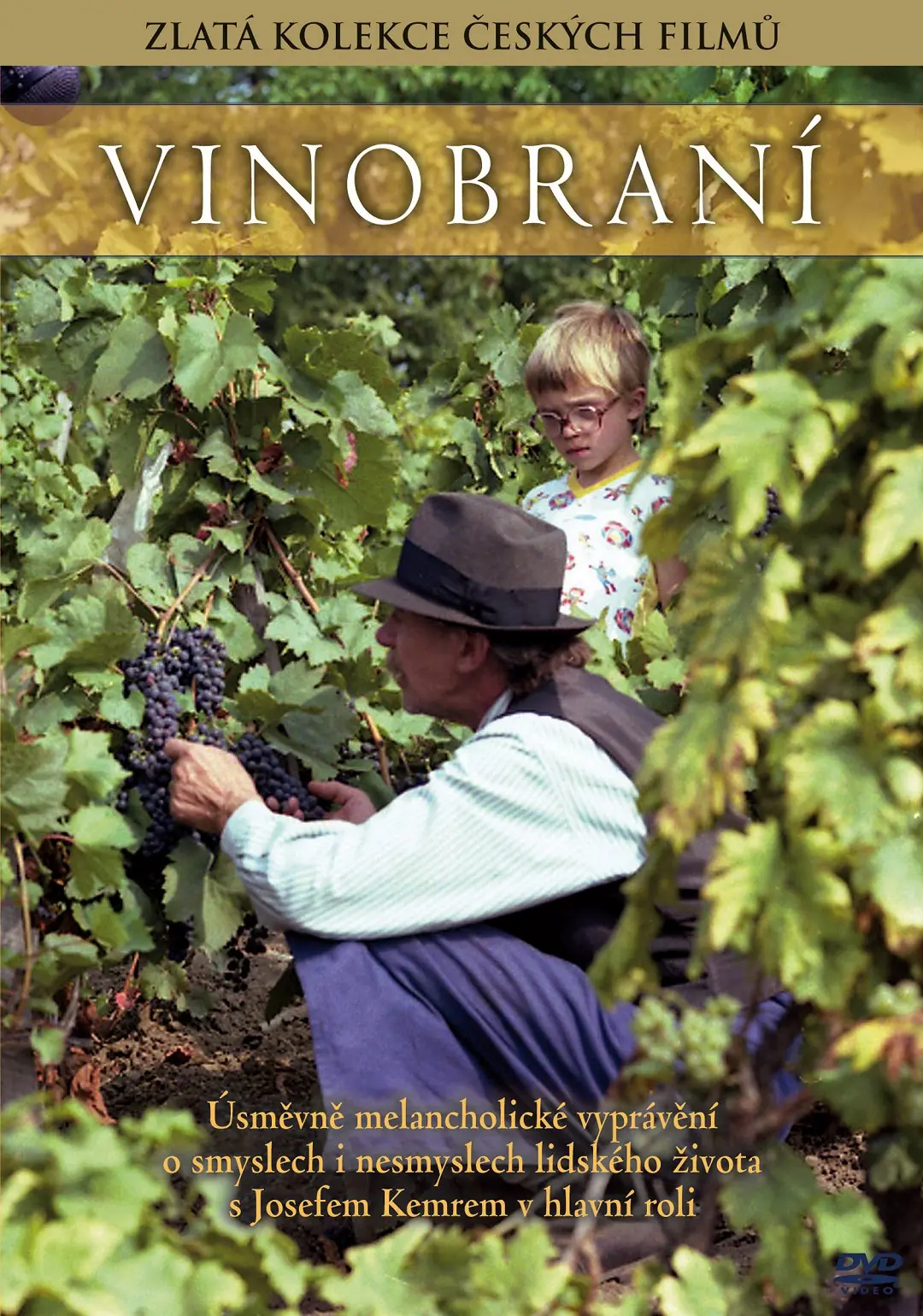Vinobraní 1982