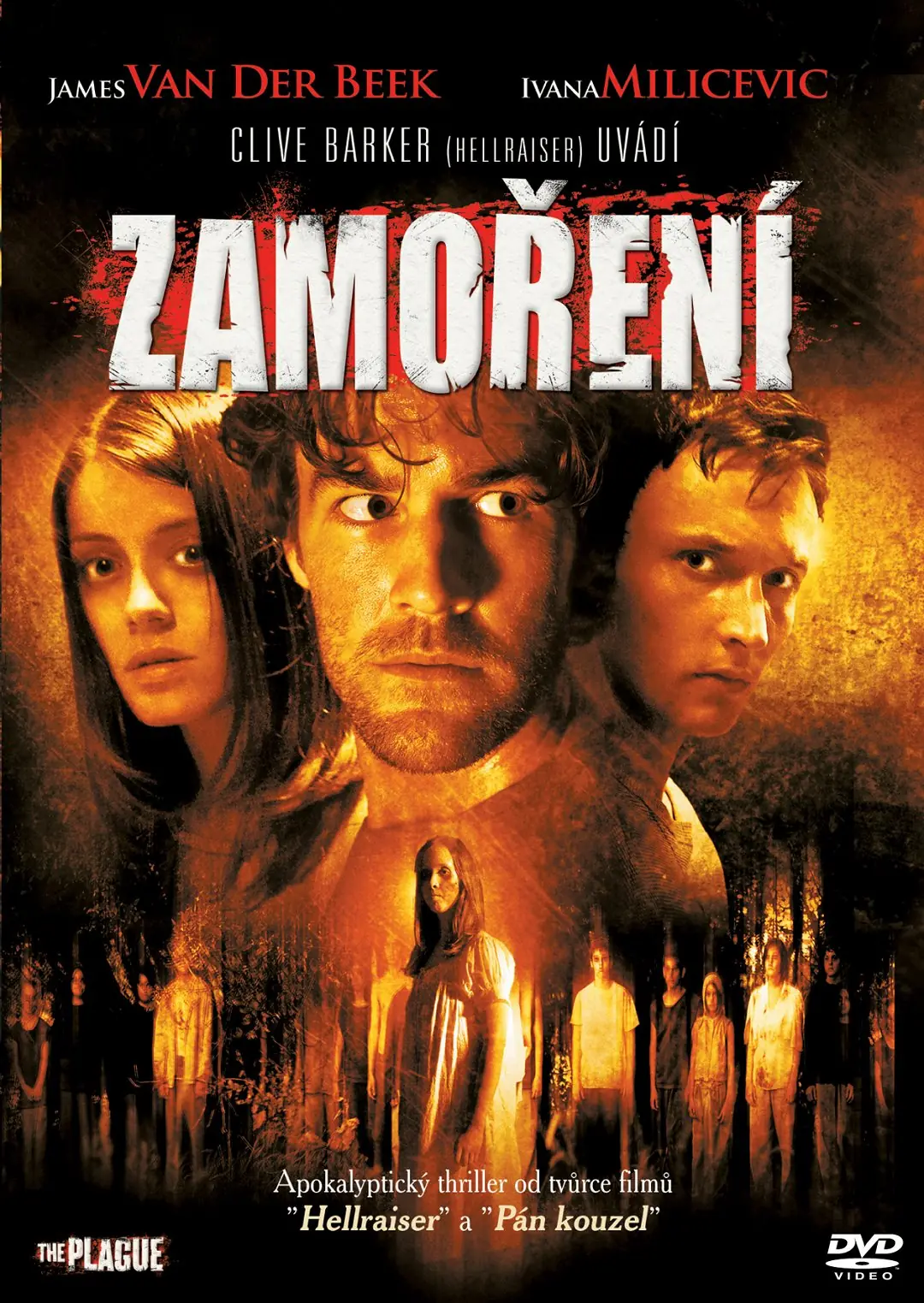 Zamoření 2006