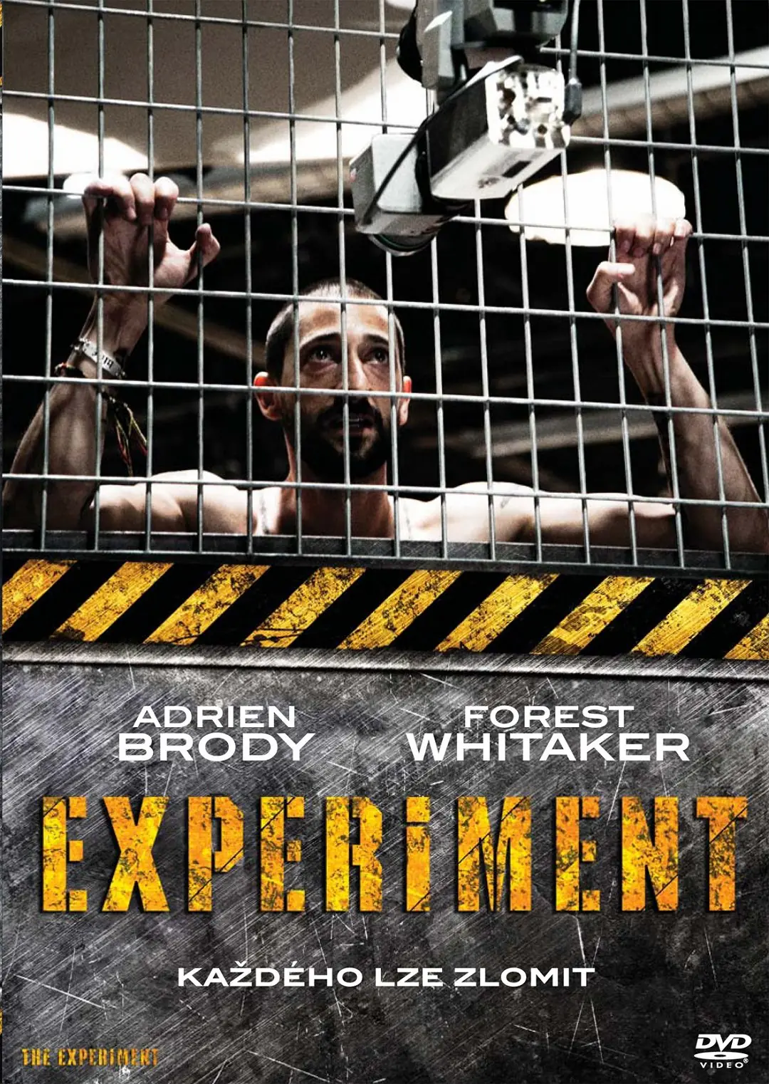 Experiment 2010