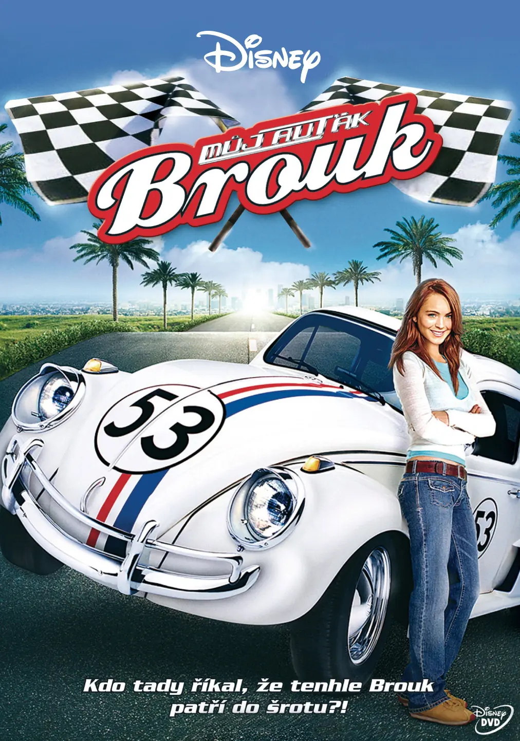 Můj auťák Brouk 2005