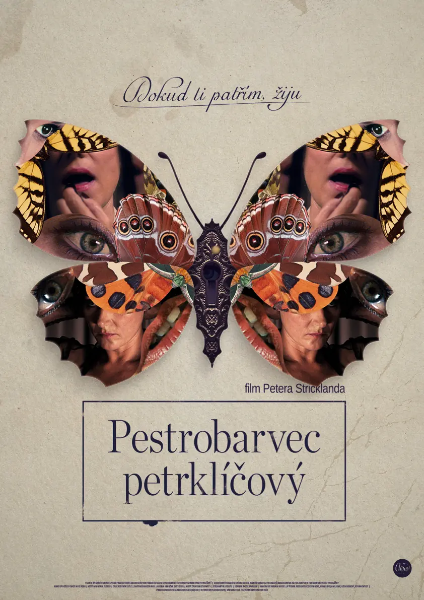 Pestrobarvec petrklíčový 2014
