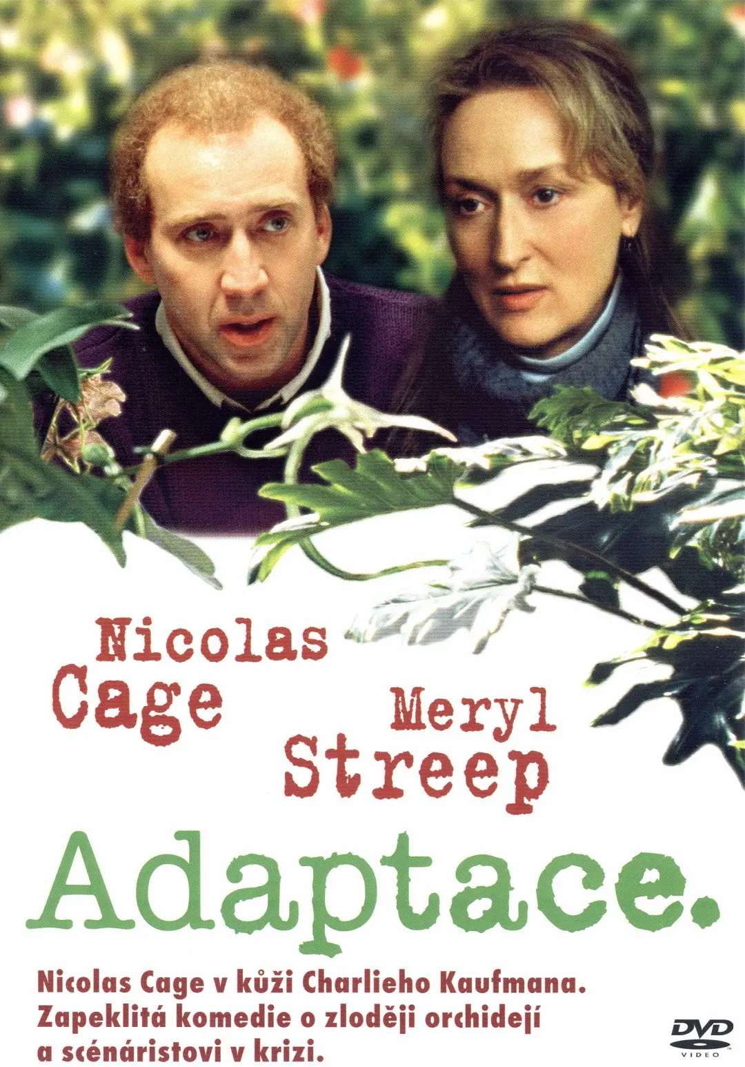 Adaptace 2002