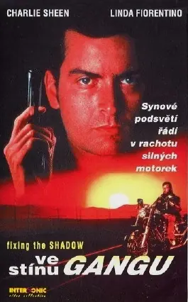 Ve stínu gangu 1993
