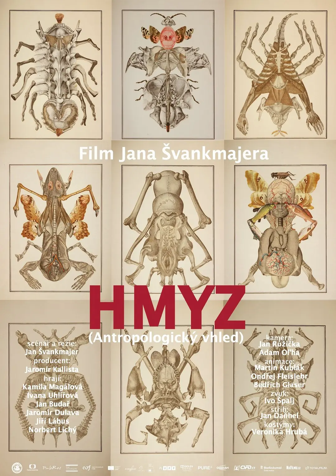 Hmyz 2018