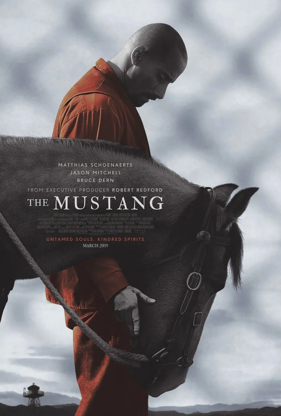 Divoký mustang 2019
