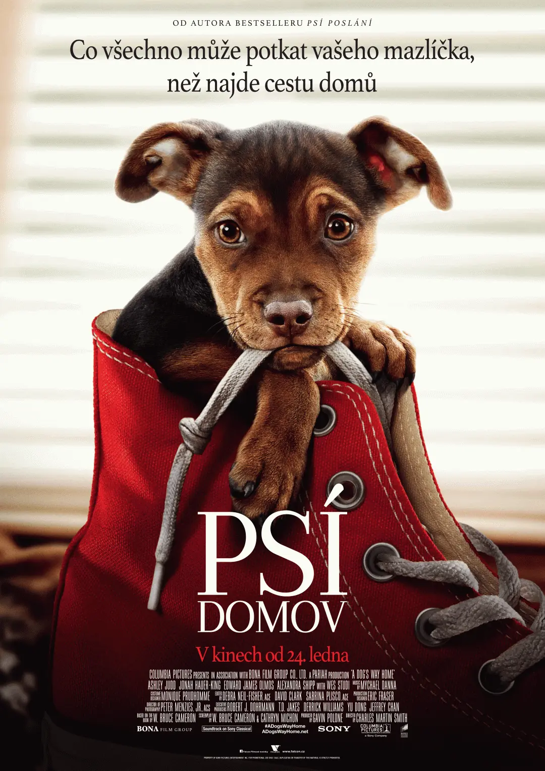 Psí domov 2019