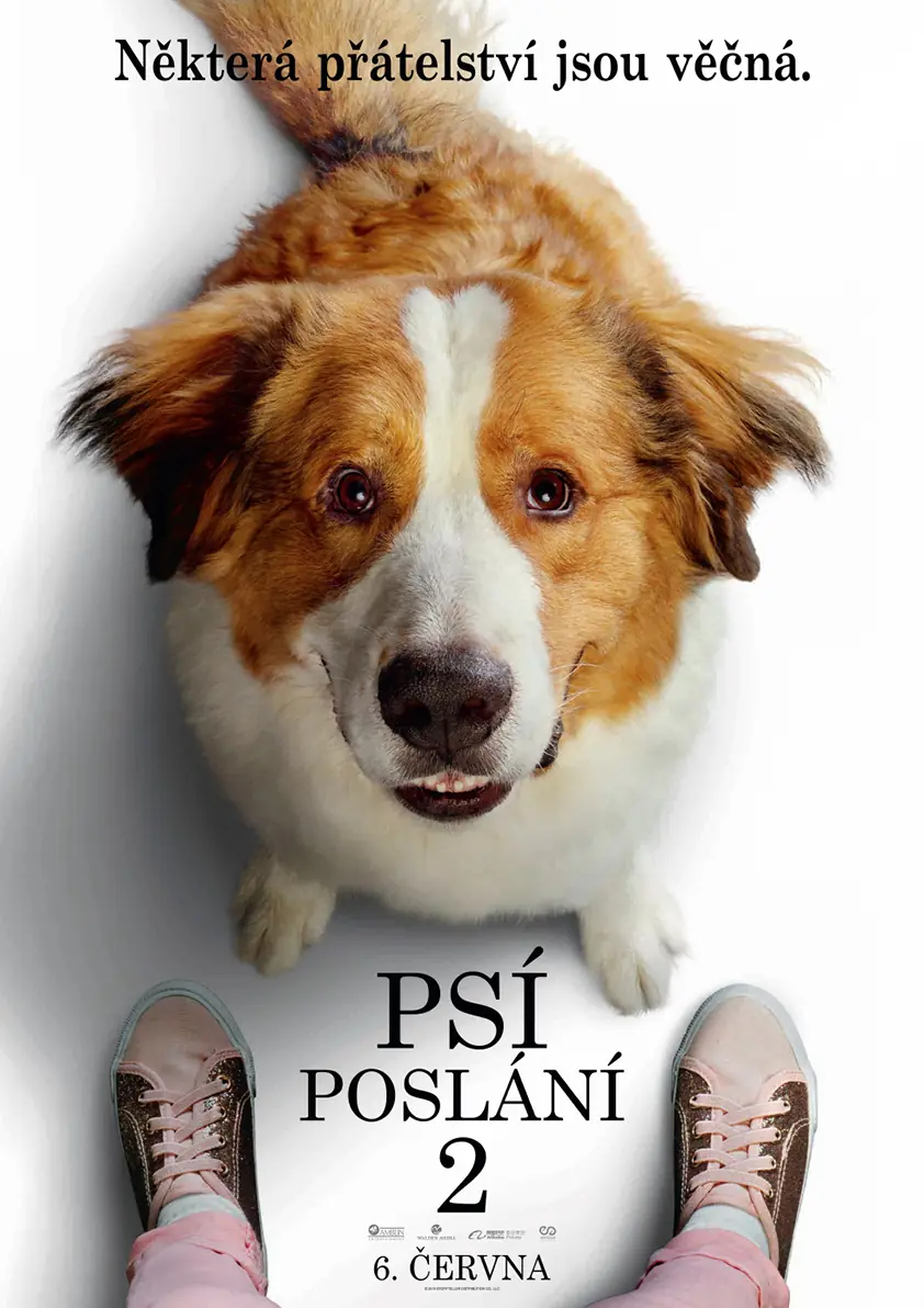 Psí poslání 2 2019