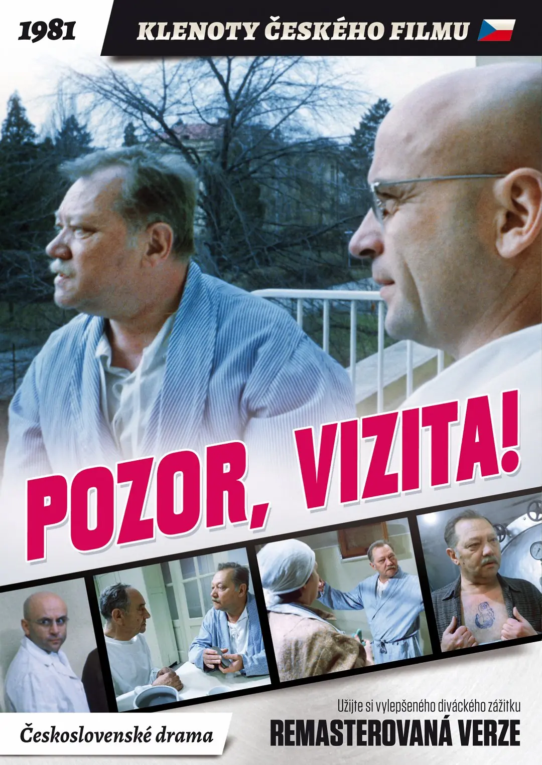 Pozor, vizita! 1981