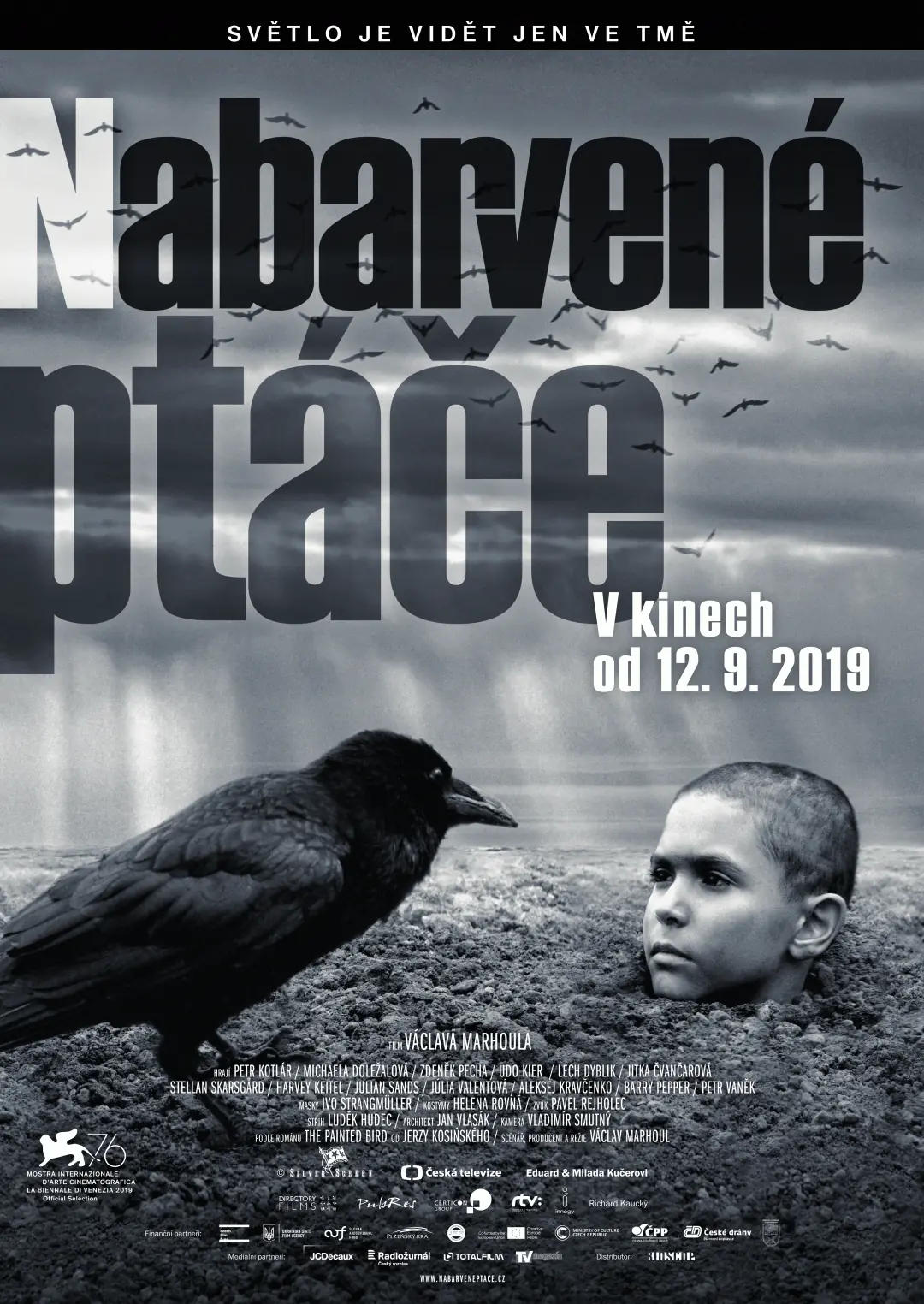 Nabarvené ptáče 2019