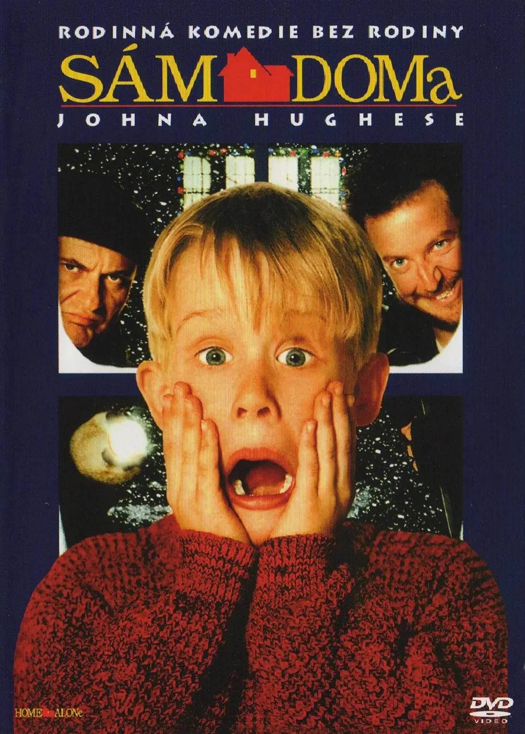 Sám doma 1990