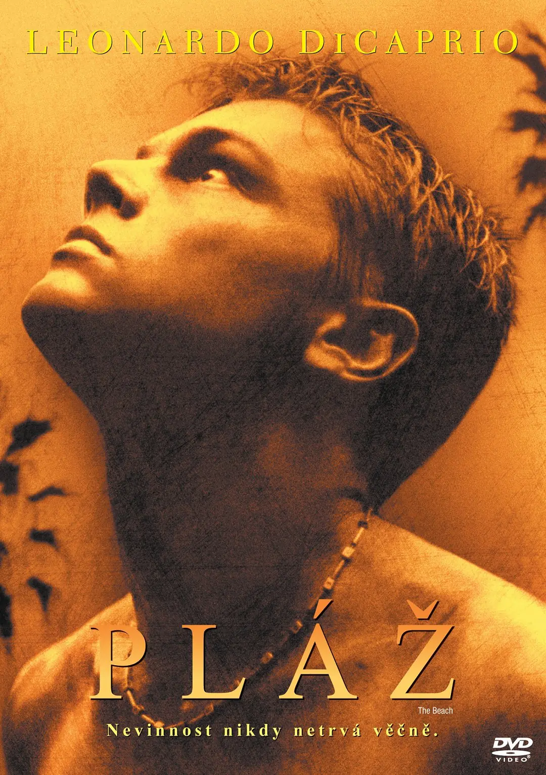 Pláž 2000