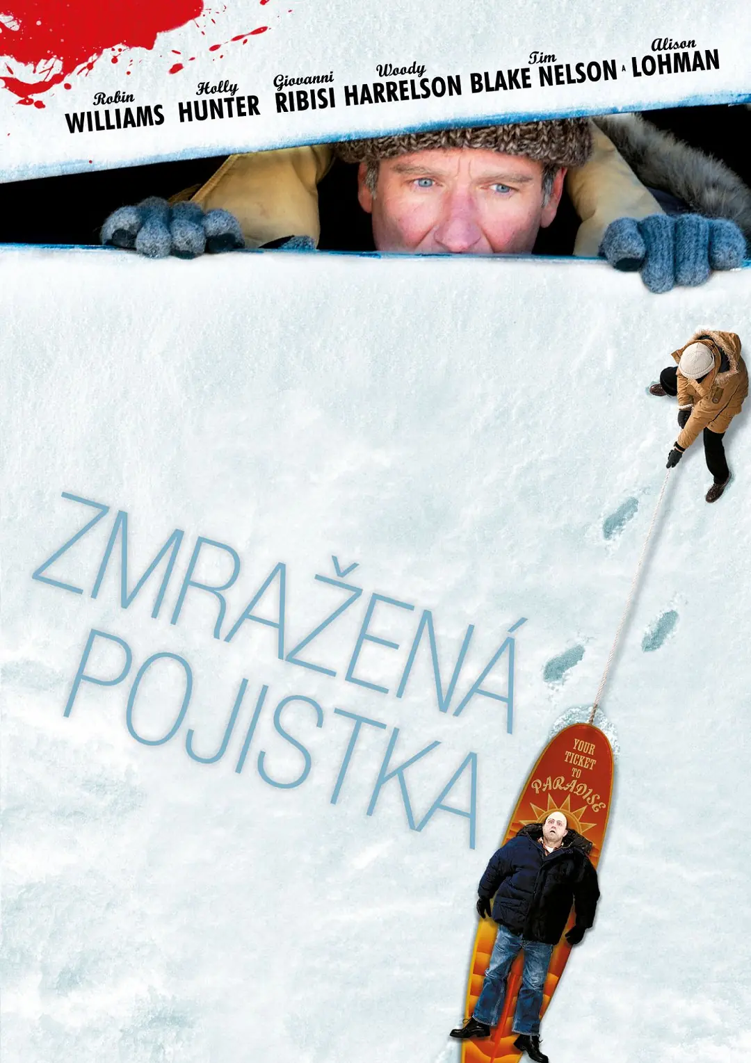Zmražená pojistka 2005