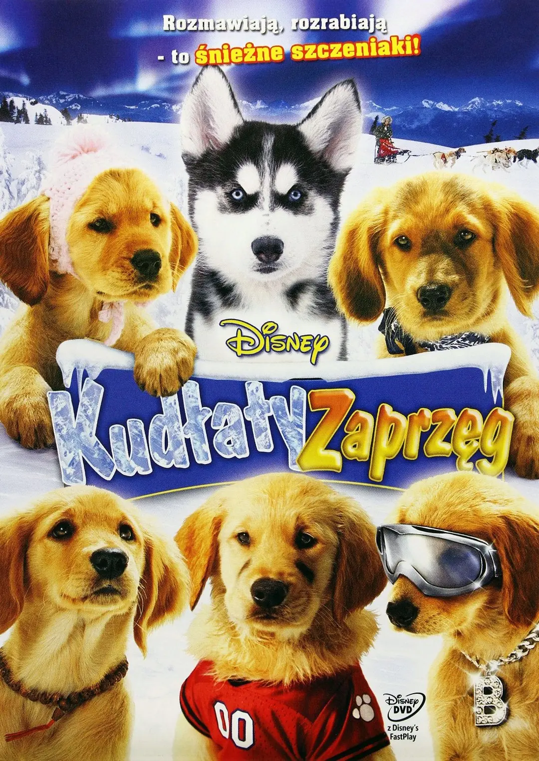 Sněžní přátelé 2008