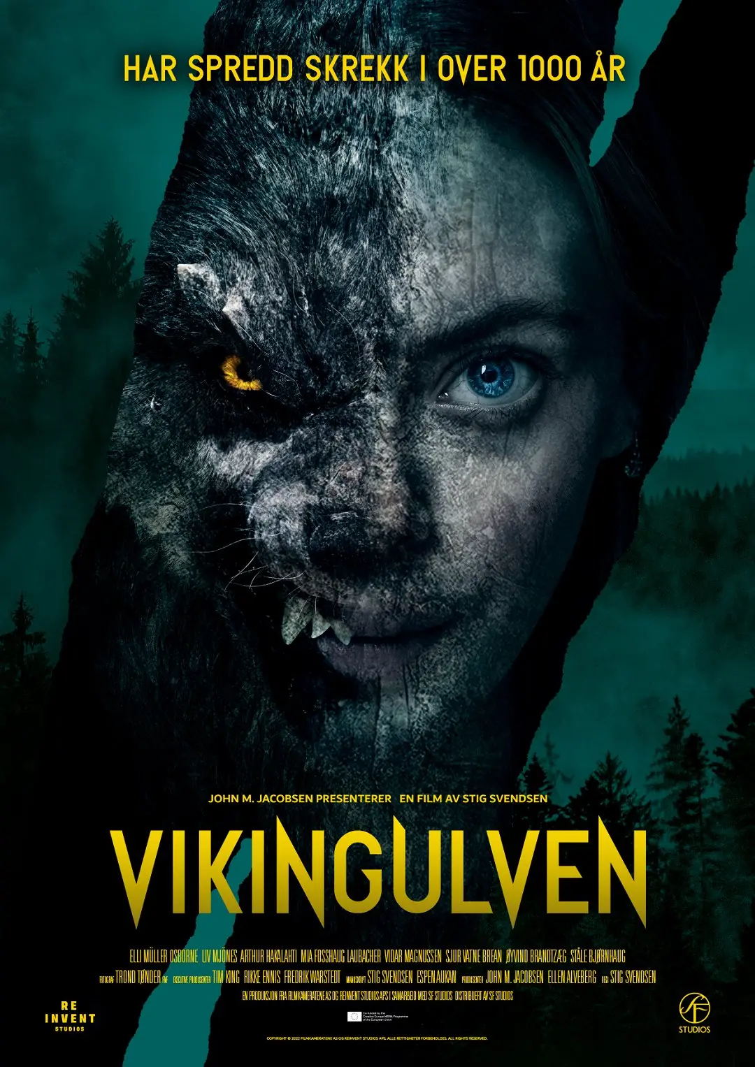 Vlk viking 2022