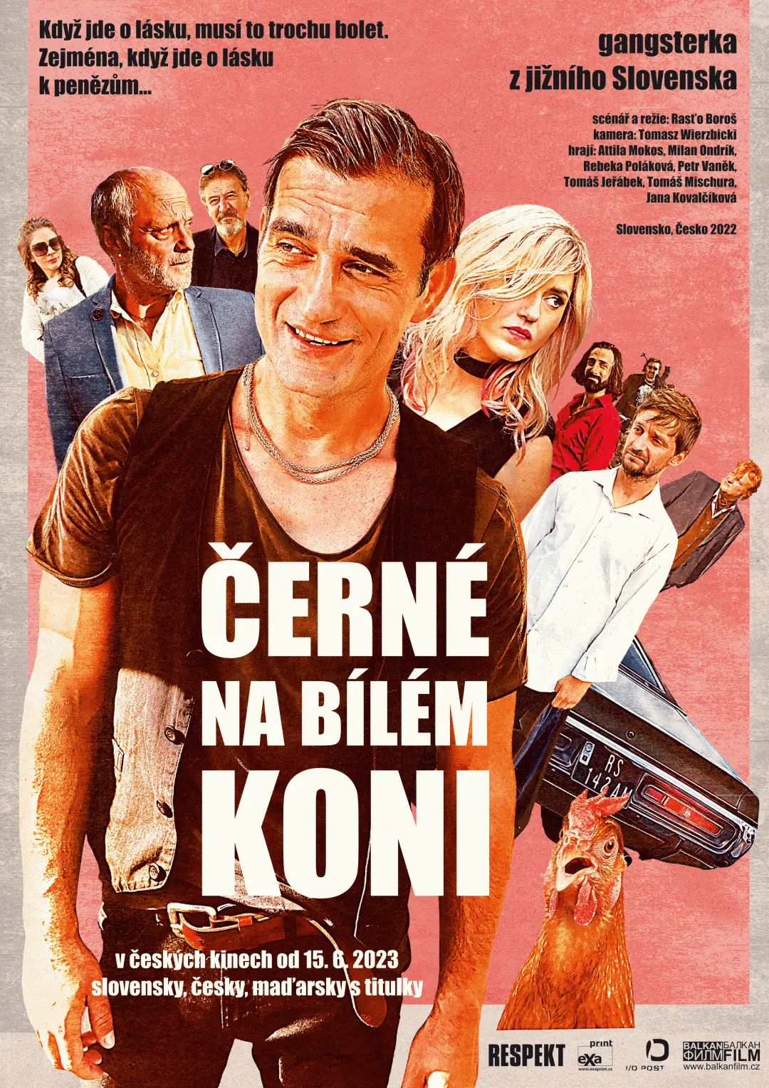 Černé na bílém koni 2022
