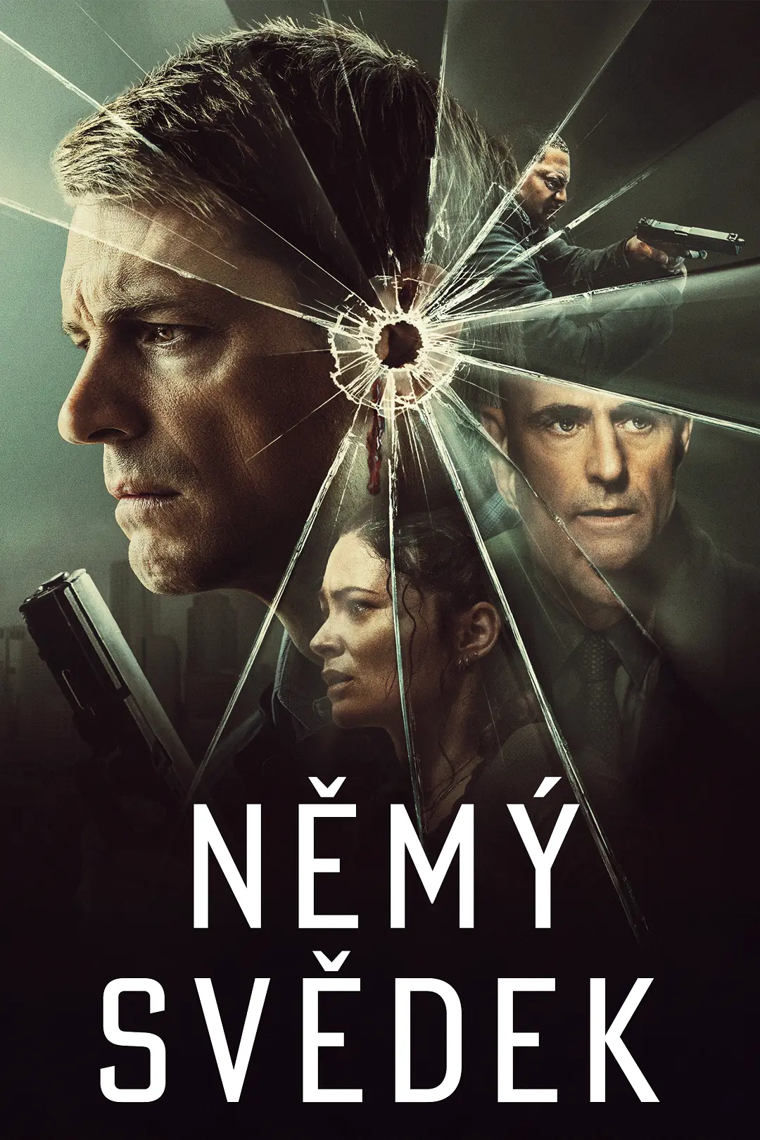 Němý svědek 2024