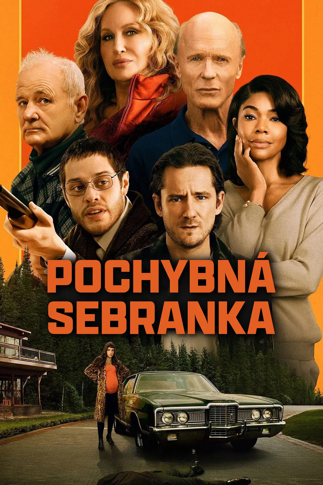 Pochybná sebranka 2024
